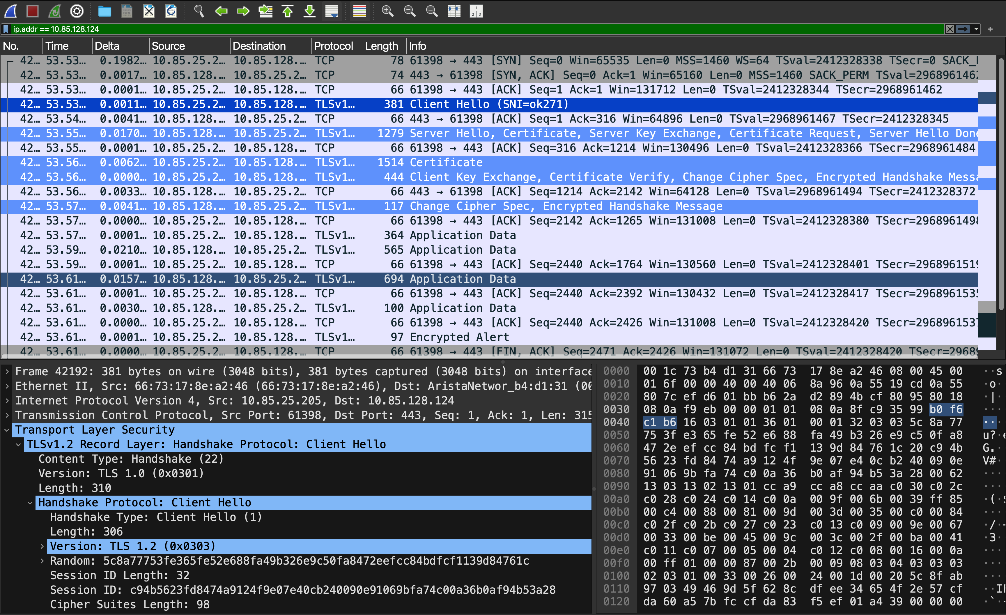 Wireshark Capture